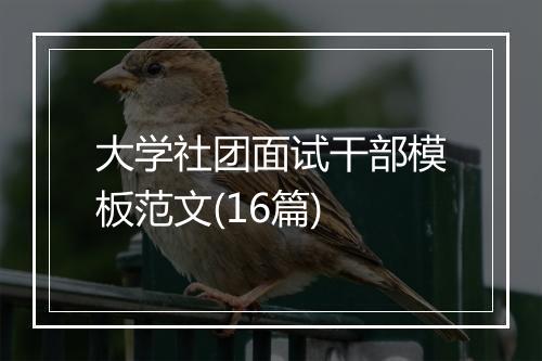 大学社团面试干部模板范文(16篇)