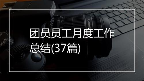 团员员工月度工作总结(37篇)