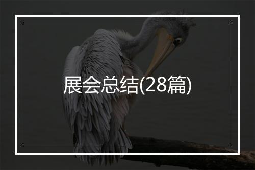 展会总结(28篇)