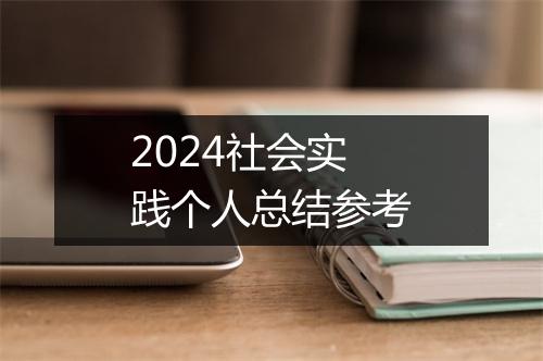 2024社会实践个人总结参考