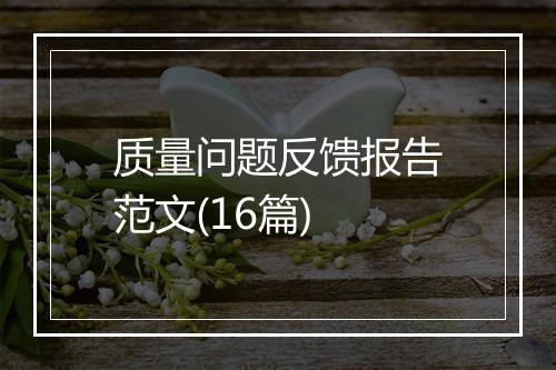 质量问题反馈报告范文(16篇)