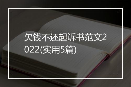 欠钱不还起诉书范文2022(实用5篇)