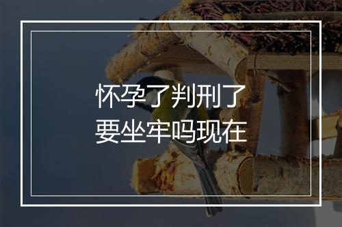 怀孕了判刑了要坐牢吗现在