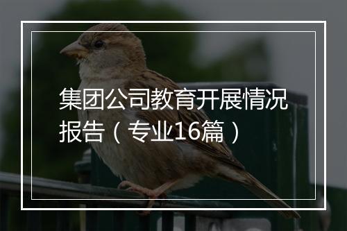 集团公司教育开展情况报告（专业16篇）