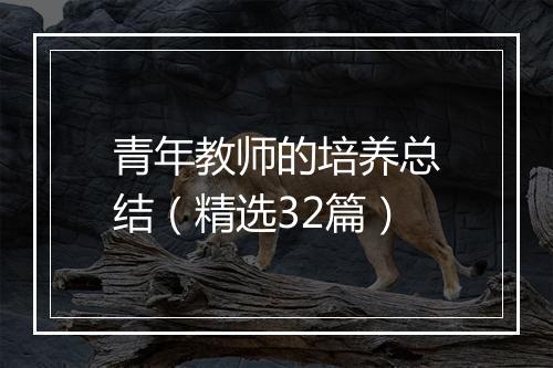 青年教师的培养总结（精选32篇）