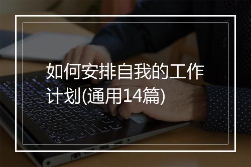 如何安排自我的工作计划(通用14篇)