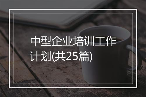 中型企业培训工作计划(共25篇)