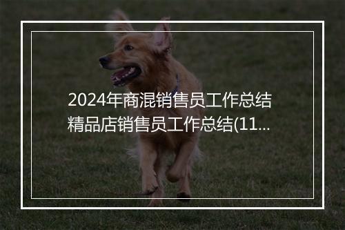 2024年商混销售员工作总结 精品店销售员工作总结(11篇)