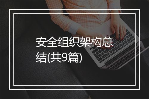 安全组织架构总结(共9篇)