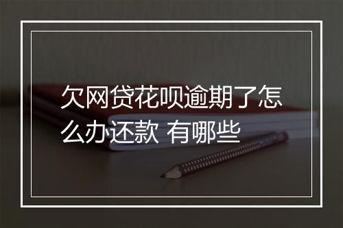 欠网贷花呗逾期了怎么办还款 有哪些