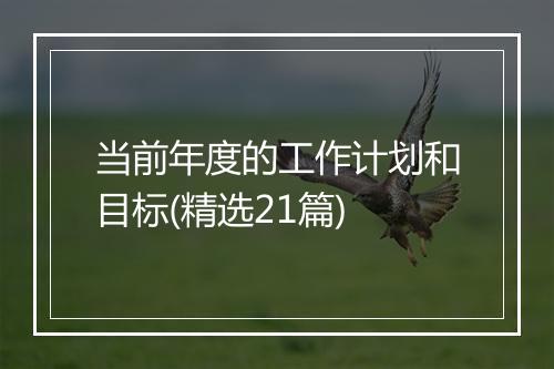 当前年度的工作计划和目标(精选21篇)