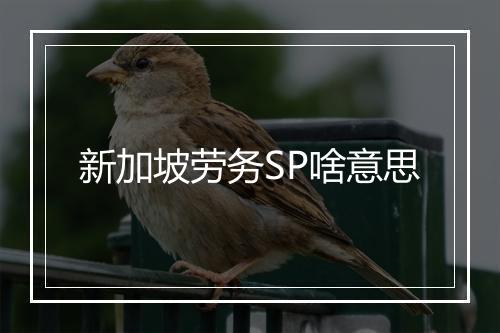 新加坡劳务SP啥意思