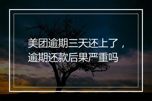 美团逾期三天还上了，逾期还款后果严重吗