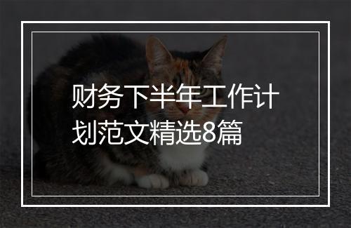 财务下半年工作计划范文精选8篇