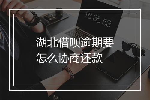 湖北借呗逾期要怎么协商还款