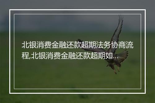 北银消费金融还款超期法务协商流程,北银消费金融还款超期如何解决