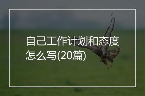 自己工作计划和态度怎么写(20篇)