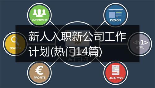 新人入职新公司工作计划(热门14篇)