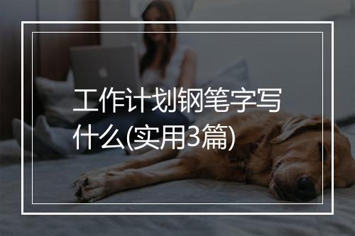 工作计划钢笔字写什么(实用3篇)