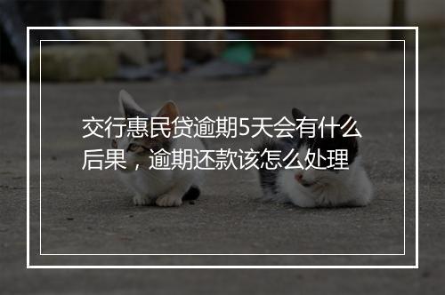 交行惠民贷逾期5天会有什么后果，逾期还款该怎么处理