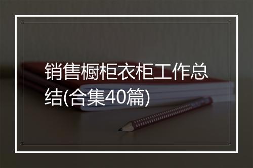 销售橱柜衣柜工作总结(合集40篇)