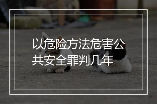以危险方法危害公共安全罪判几年