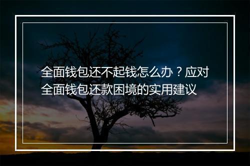 全面钱包还不起钱怎么办？应对全面钱包还款困境的实用建议