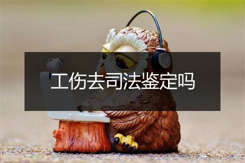 工伤去司法鉴定吗