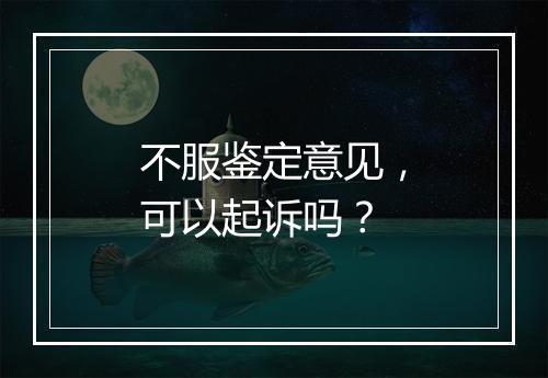 不服鉴定意见，可以起诉吗？