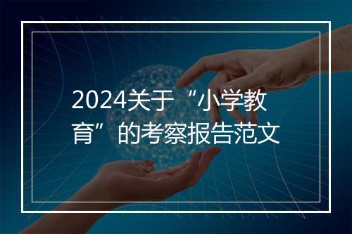 2024关于“小学教育”的考察报告范文