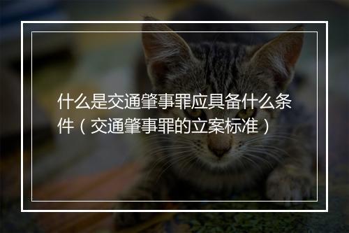 什么是交通肇事罪应具备什么条件（交通肇事罪的立案标准）
