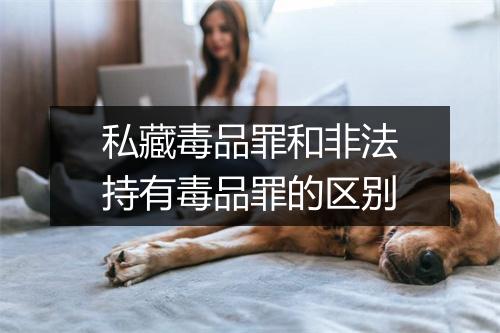 私藏毒品罪和非法持有毒品罪的区别