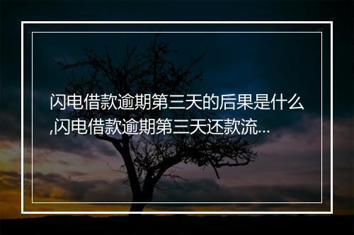 闪电借款逾期第三天的后果是什么,闪电借款逾期第三天还款流程详解