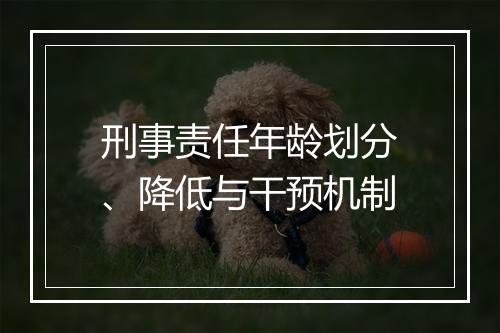 刑事责任年龄划分、降低与干预机制