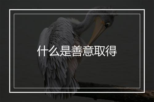 什么是善意取得