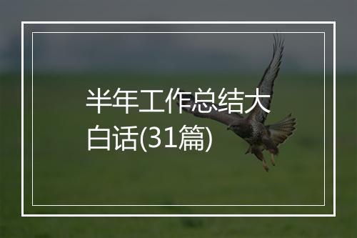 半年工作总结大白话(31篇)