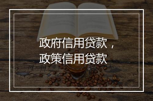 政府信用贷款，政策信用贷款