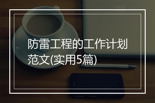 防雷工程的工作计划范文(实用5篇)