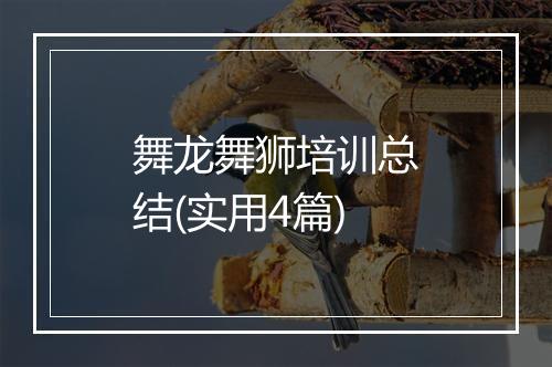 舞龙舞狮培训总结(实用4篇)