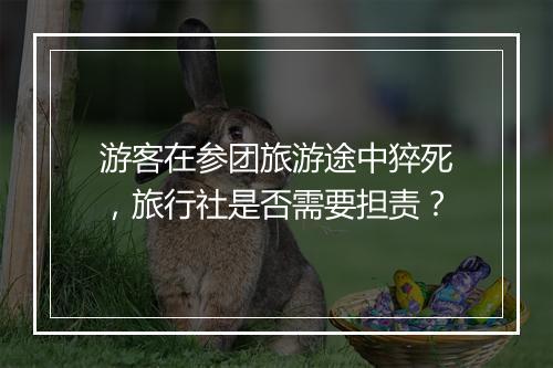 游客在参团旅游途中猝死，旅行社是否需要担责？
