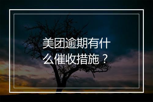 美团逾期有什么催收措施？