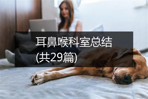 耳鼻喉科室总结(共29篇)