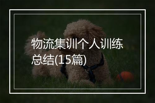 物流集训个人训练总结(15篇)