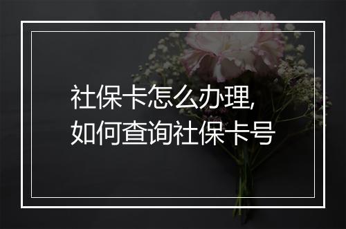 社保卡怎么办理,如何查询社保卡号