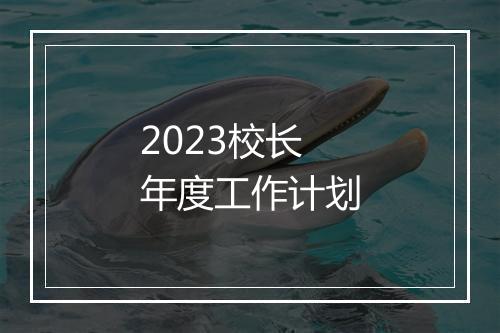 2023校长年度工作计划