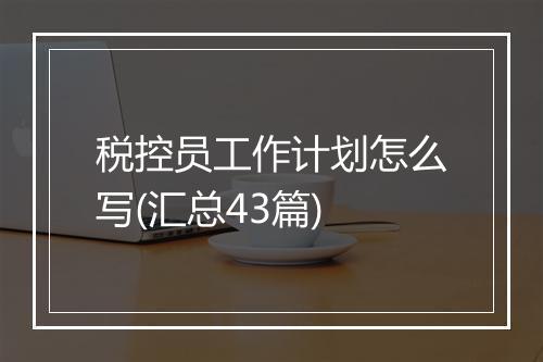 税控员工作计划怎么写(汇总43篇)