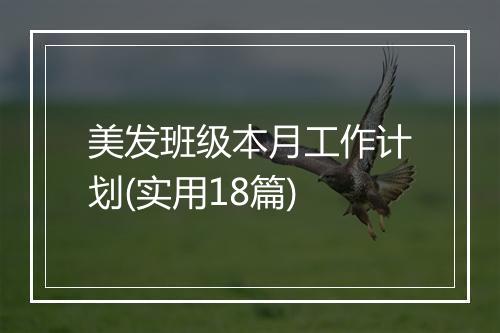 美发班级本月工作计划(实用18篇)