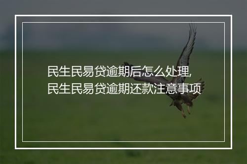 民生民易贷逾期后怎么处理,民生民易贷逾期还款注意事项