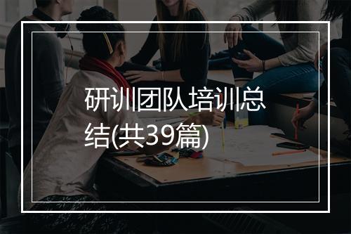 研训团队培训总结(共39篇)