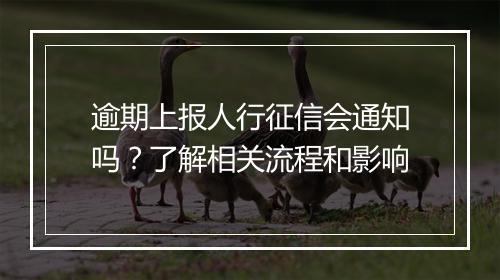 逾期上报人行征信会通知吗？了解相关流程和影响